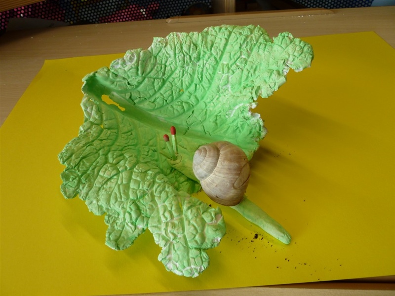 Schnecken cycle 2.1 201314 2